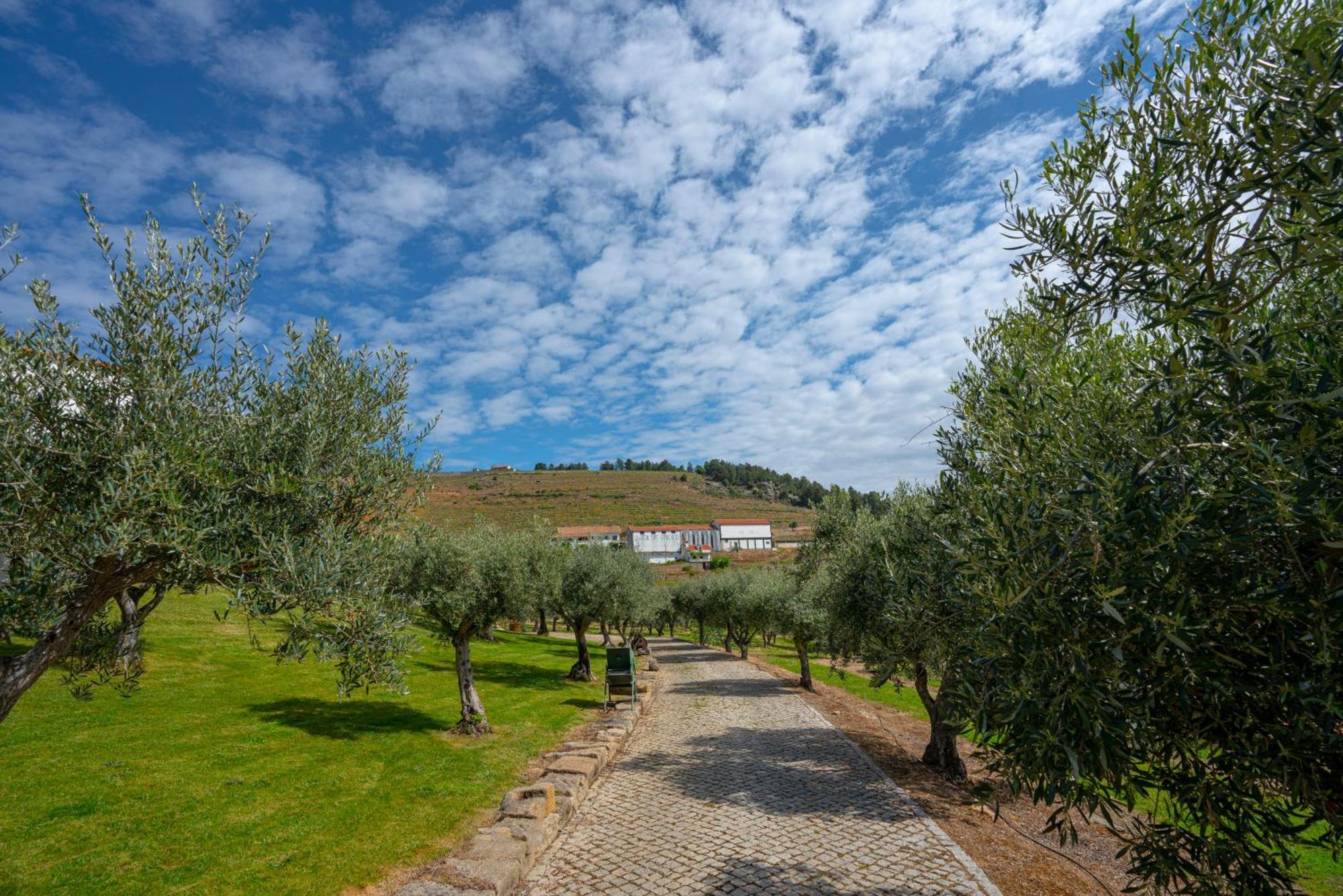 Valonquinta - Agro Hotel & Spa Vila Flor Eksteriør bilde